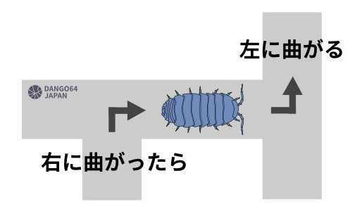 ダンゴムシの交替性転向反応のイメージ